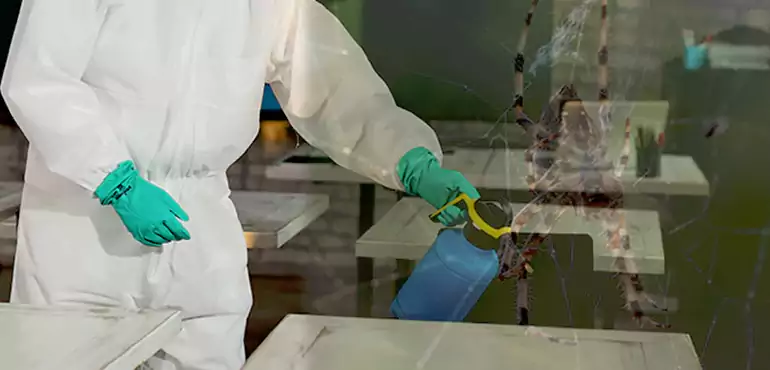 Why Buyers Still Want Homes With Pest Infestations in Raleigh, NC?