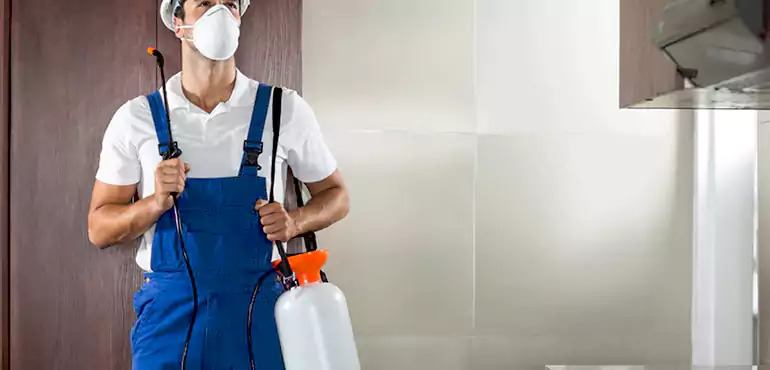 Why Raleigh Homeowners Choose Us When Pests Make Selling Difficult